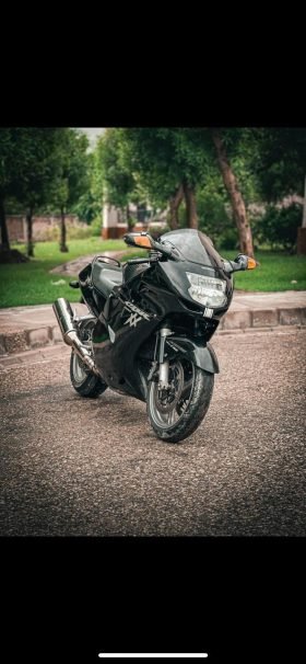 CBR1100 black bird Honda